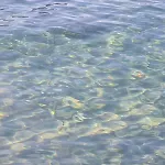 Casetta Bella Nonna Rosetta * Mondello